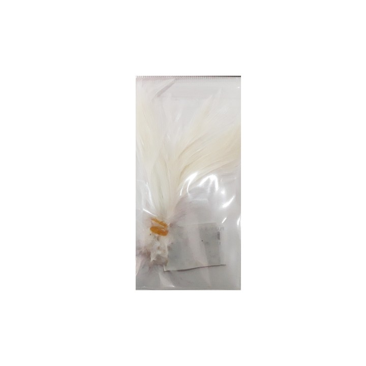 PLUMA BLANCA