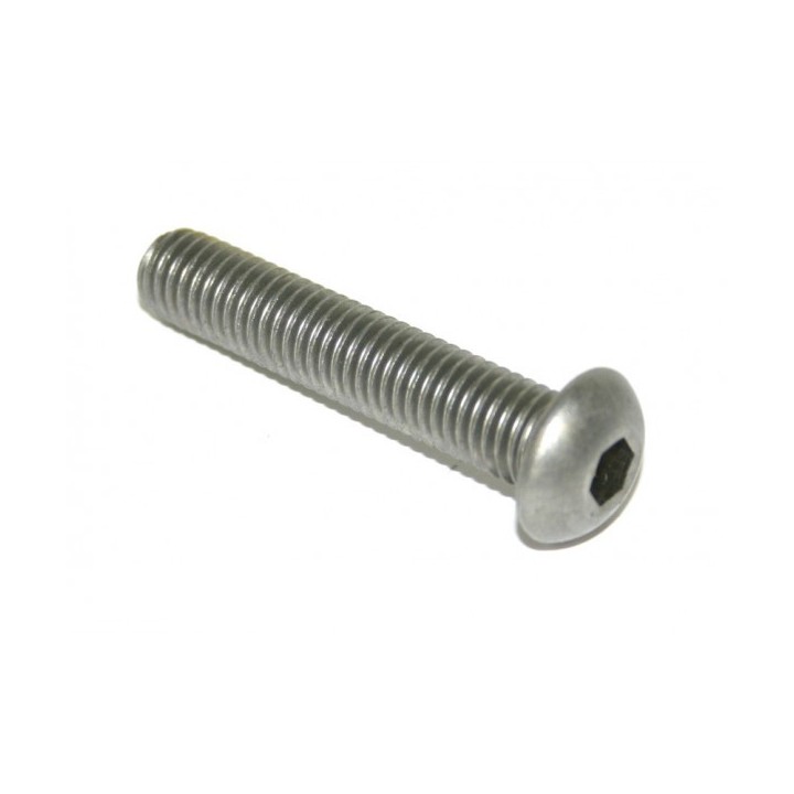 TORNILLO DIN-7380 A4