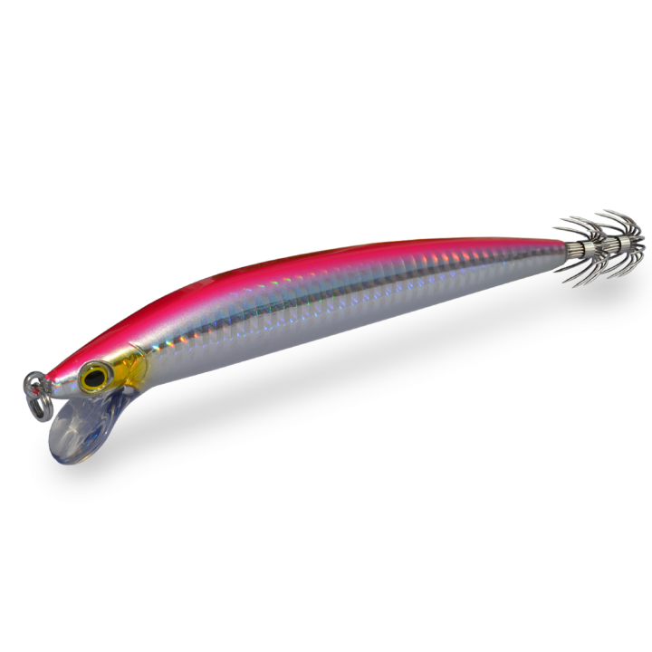 DTD GIRA CALAMARI