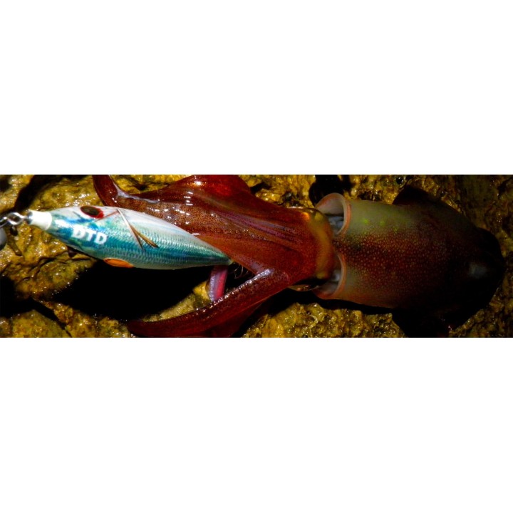 DTD REAL FISH