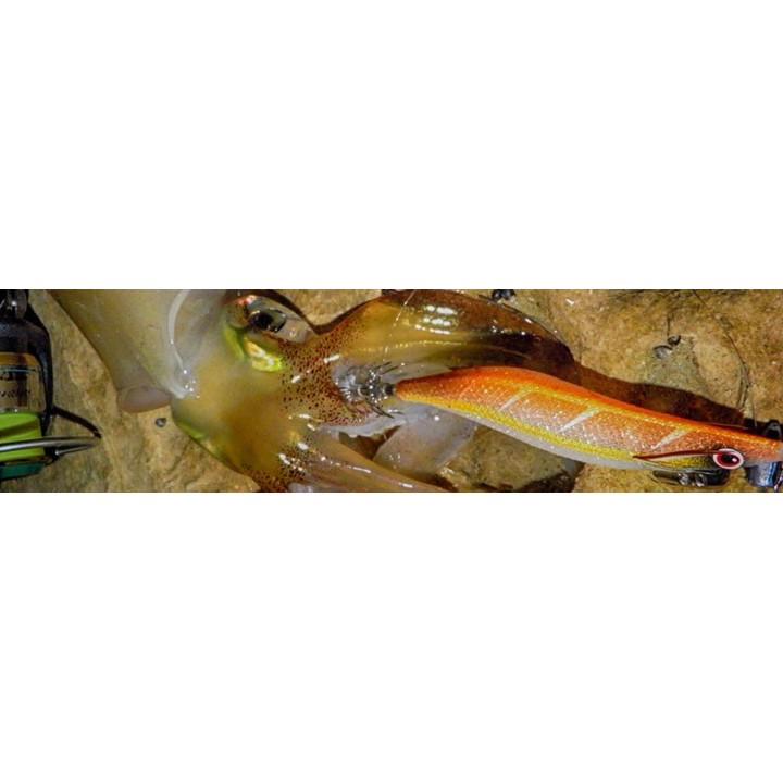 DTD PREMIUM OITA