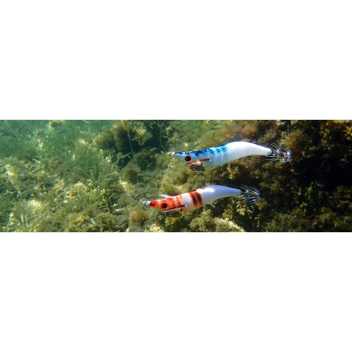DTD WEAK FISH OITA