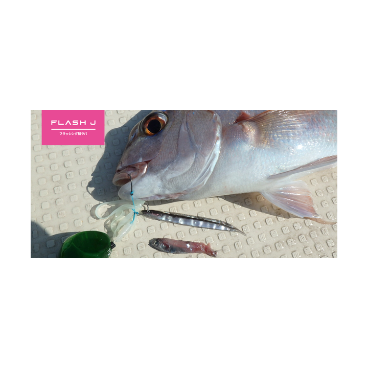 FLASH J SHIRASU SW FISH ARROW