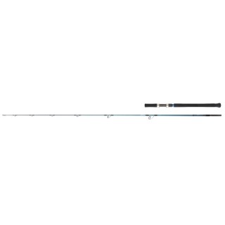 CAÑA DAIWA GRANDWAVE OFF SHORE