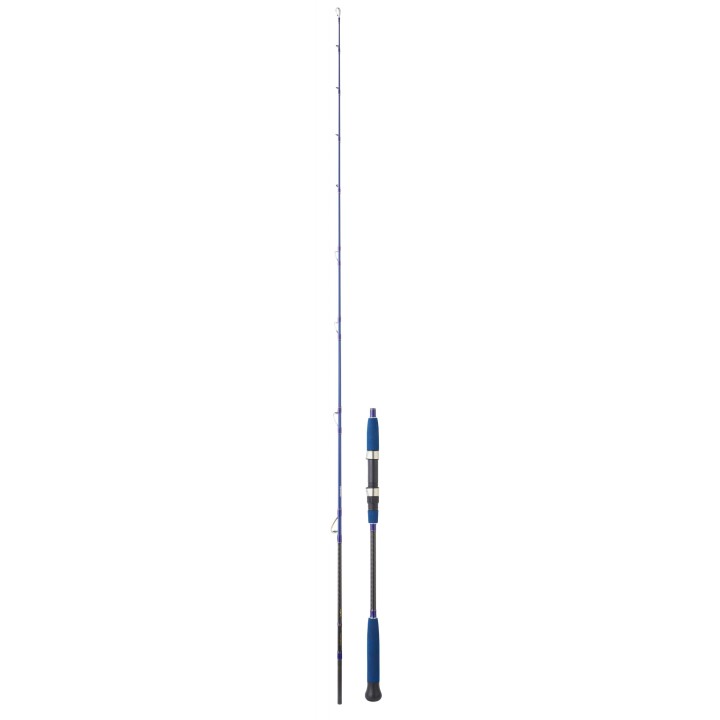 CAÑA DAIWA LEGALIS OCEANO JIG SPIN