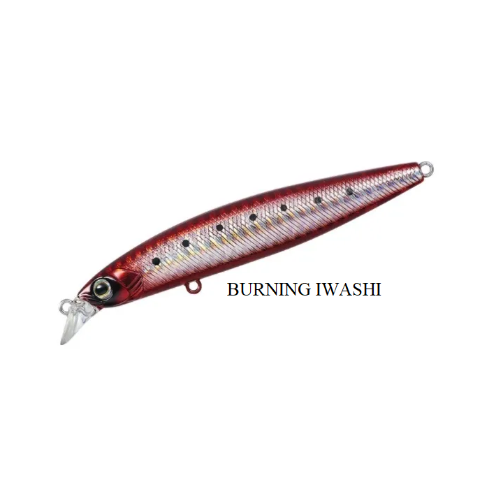 SEABASS HUNTER Z DAIWA