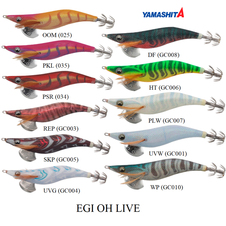YAMASHITA EGI OH LIVE