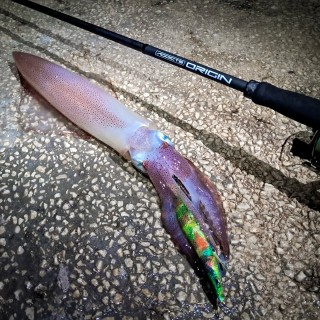 CAÑA ADDICTE ORIGIN EGING