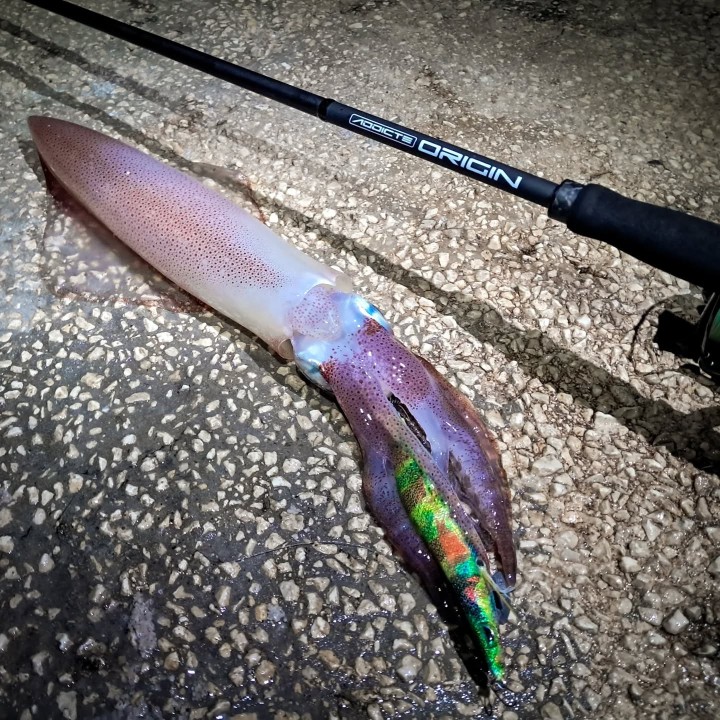 CAÑA ADDICTE ORIGIN EGING