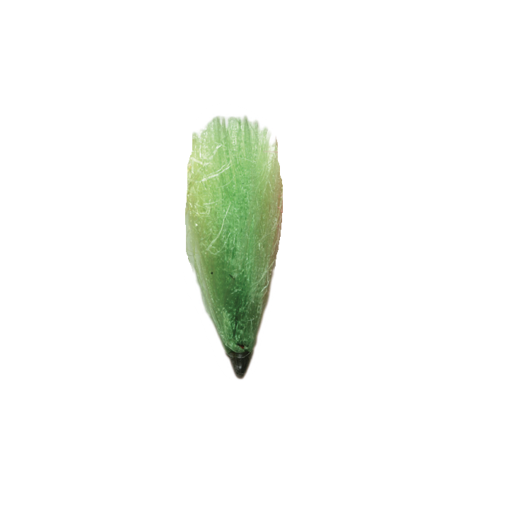RAFIA DURAFLOT CABEZA PLOMADA