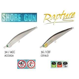 SHORE GUN RAPTURE