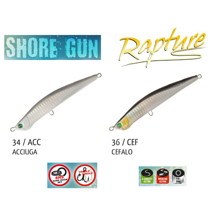 SHORE GUN RAPTURE
