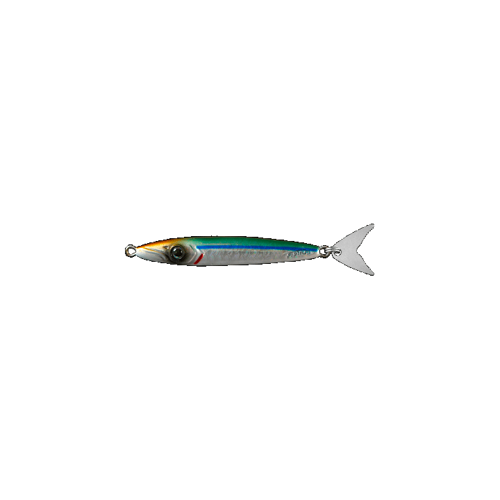 FBL ESPEJIG